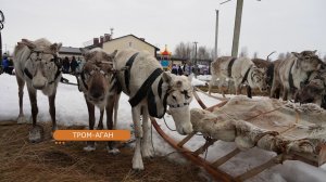 В Тром-Агане прошел День оленевода