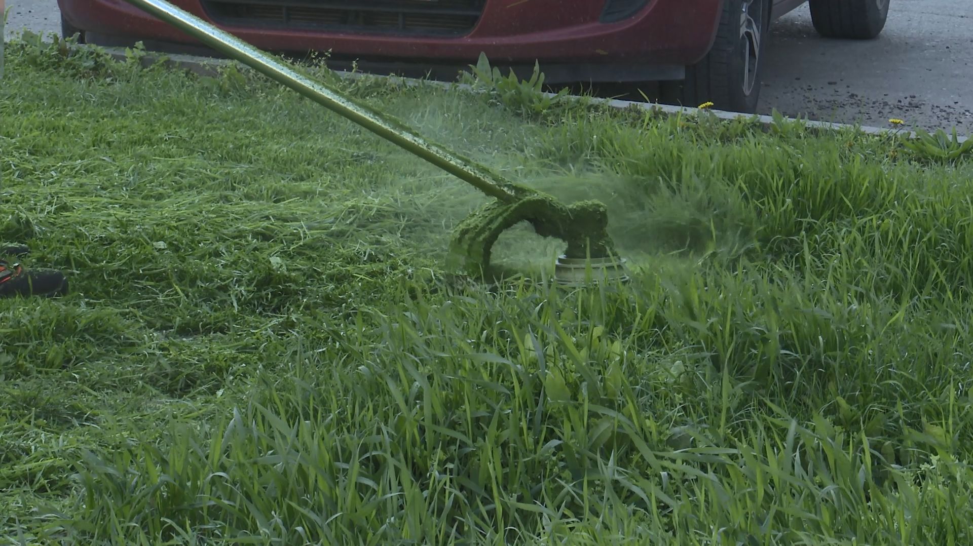 Курс на лето: в Анапе стартовал сезон большой стрижки газонов