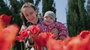 Прогулка на Матросском бульваре / Апрель, 2026 г.