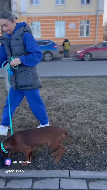 Красивая Счастливая Жизнь Кинг