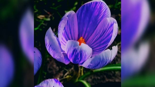 новый фильм 