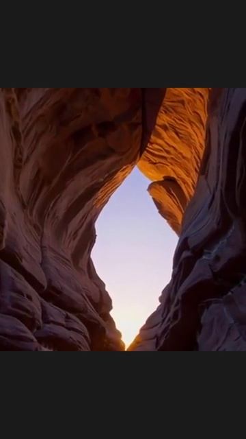 лучсвета радость жизнь свет вдохновение надежда