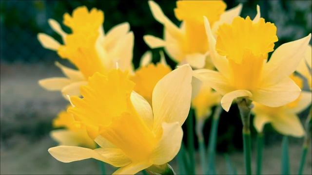 Предупреждение на 16 апреля. День Гекаты - Не берите это в руки.