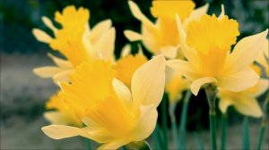 Предупреждение на 16 апреля. День Гекаты - Не берите это в руки.