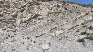 Анапа. Сегодня ветрогон! Море штормит!14 апреля 2026.