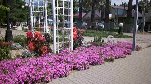 лазаревское море курорты краснодарского края лазаревское сочи