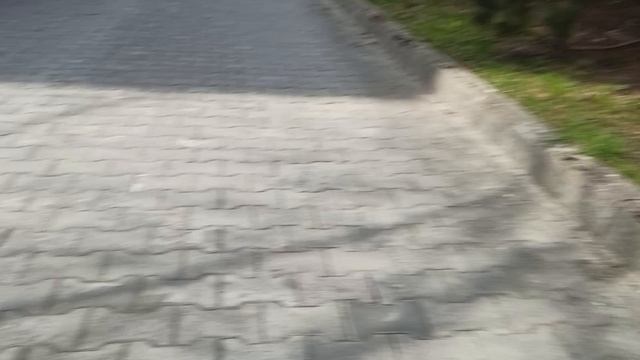 слежу за Сашей первый выпуск.mp4