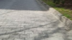 слежу за Сашей первый выпуск.mp4