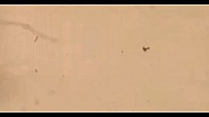 Мои убийства