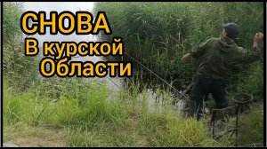 И снова рыбалка в курской области в гостях У Петровича.