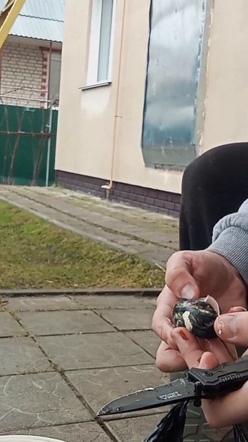 Неудачная инкубация. Плохой оплод