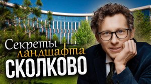 Парк будущего в Москве: секреты ландшафта Сколково (обзор от L.BURO)