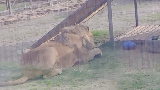 UQTN1446 Видео от Ивана 14.04.2026