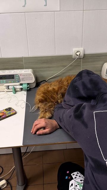 Что думаете?😭