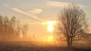 Долгожданное потепление, праздничный вечер и общение дочери с лосем