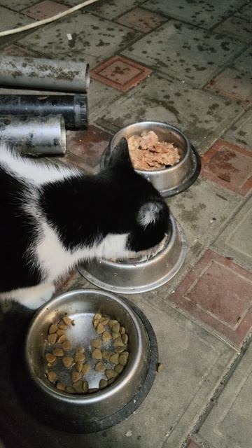 Два волшебника помогли. Спасибо!