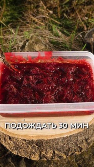 Он научит тебя всему!