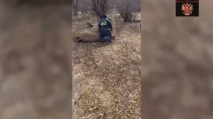 🔴Оперативная съёмка задержания и последующего допроса украинских террористов.🔴