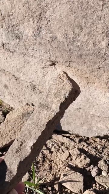 Напоминает мне кусок халвы 😆

#песчаник