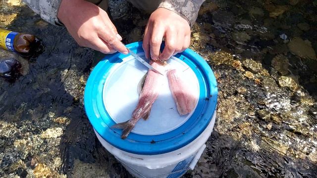 Обдир из Хариуса на горной реке