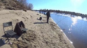 ОТКРЫЛИ СЕЗОН ФИДЕРА,РЫБАЧИМ НА НЕПТУНЕ (ЛОДОЧНАЯ БАЗА) НАЛОВИЛИ ХОРОШИХ ЯЗЕЙ.