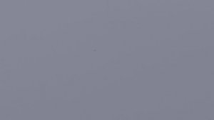 Токование бекаса.mp4