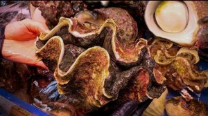 Привлекательное блюдо сашими из гигантского моллюска и гигантской раковины | Азиатская кухня