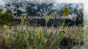 Нам в жизни паузы даются, Леонид Митенев. Читает Владислав Витковский. Стихи для души