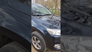 Рав 4 , музей