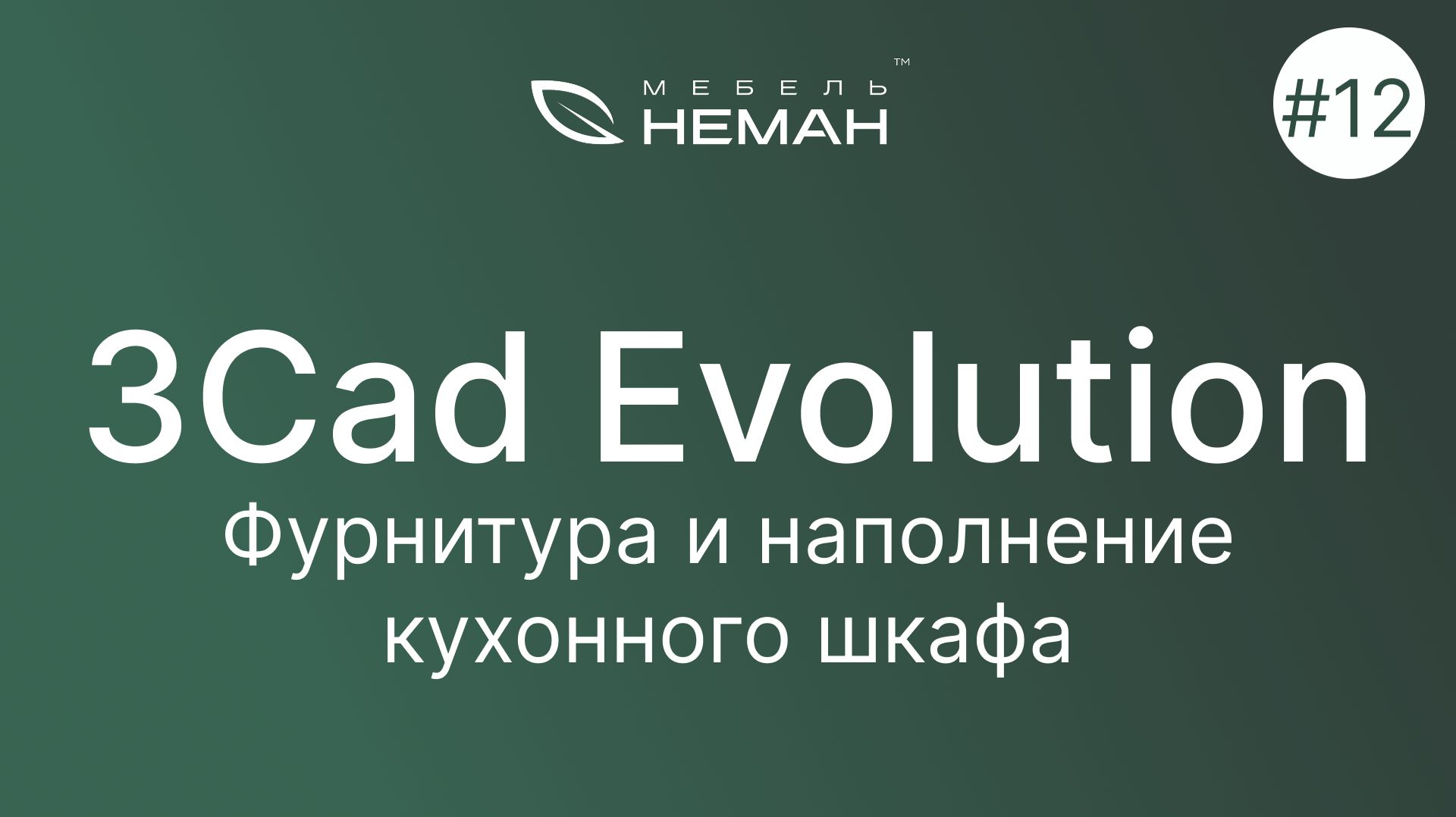 Мебель-Неман уроки 3Cad Evolution. Урок №12. Фурнитура и наполнение кухонного шкафа