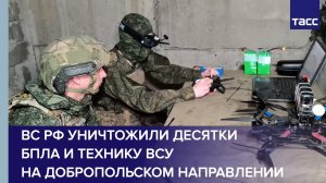 ВС РФ уничтожили десятки БПЛА и технику ВСУ на добропольском направлении