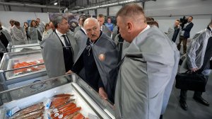 Лукашенко: Вы обещали страну завалить рыбой! // Краснопольский район