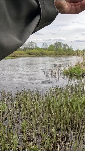 Это ОН! ТОЛЬКО НЕ СОРВИСЬ! #shorts