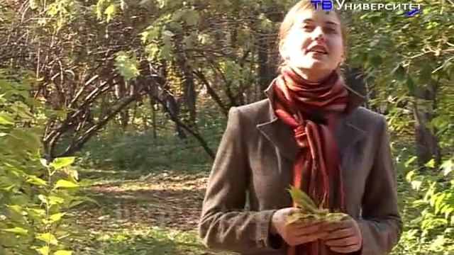 Александровский бульвар | Анна Шевчик