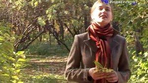 Александровский бульвар | Анна Шевчик