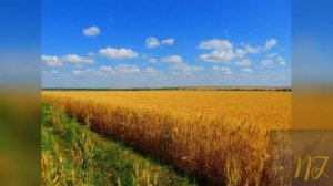 "Полюшко родное"- Флит,OLIMI.mp4