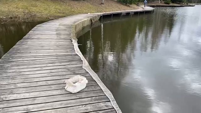 Перенос сетки