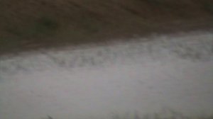 15)ВИОЛЕТТА У ДЕДУШКИ ОЗЕРО  МАНЫЧ(2011 ГОД ЛЕТО)