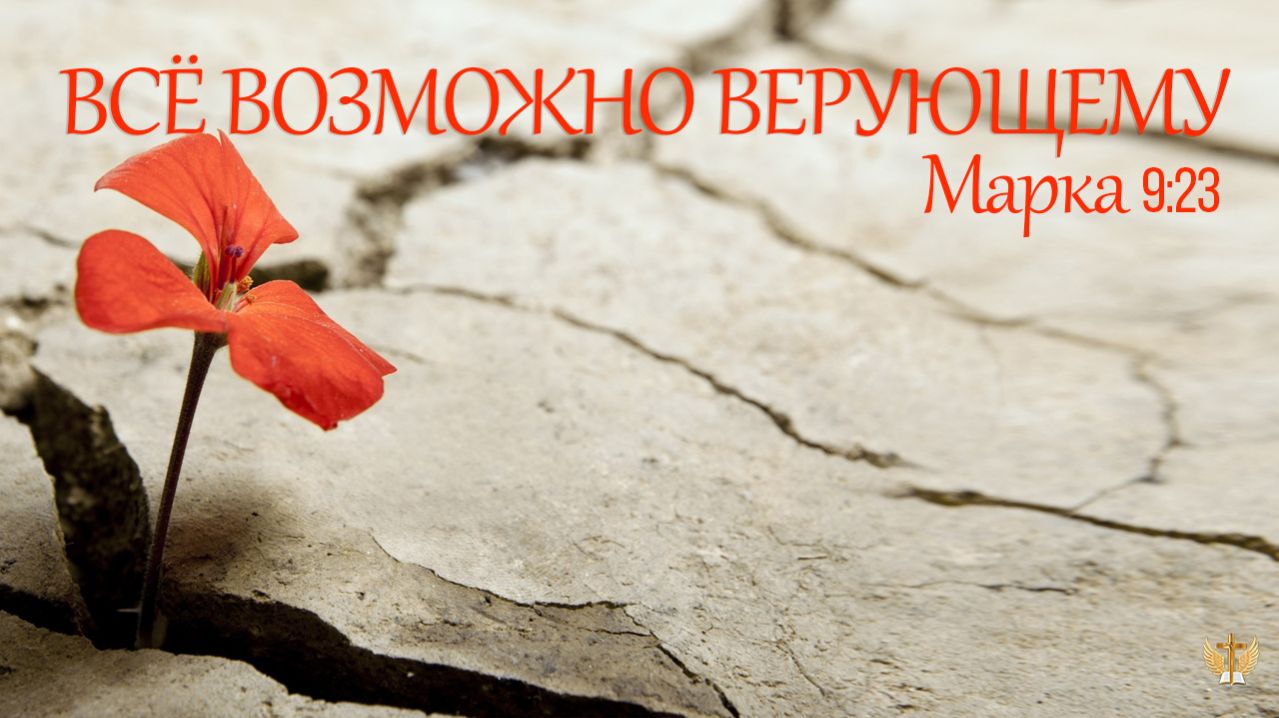 С Божьей гарантией возможно всё