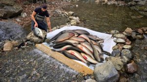Рыбалка с перфорированной доской / Великолепная ловушка