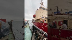 ШВАРТОВКА С ПЕРЕГРУЗЧИКОМ  ПЕРЕГРУЗ РЕЙС   ПУТИНА НА КРАСНУЮ РЫБУ