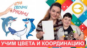 🎨 УЧИМ ЦВЕТА, КООРДИНАЦИЮ И НАПРАВЛЕНИЯ