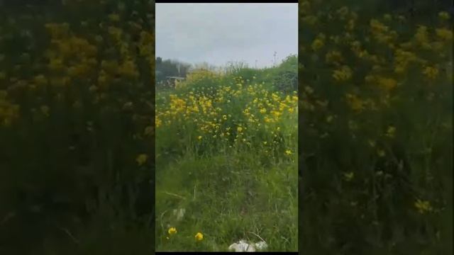 Аня нашла бункер от подростков