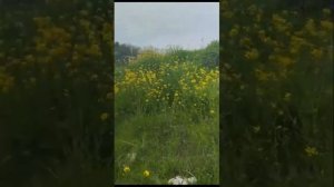 Аня нашла бункер от подростков