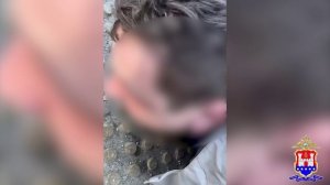 Вейпы с гашишным маслом,более 5 кг марихуаны и 80 кустов конопли изъяла полиция у 3-х калининградцев