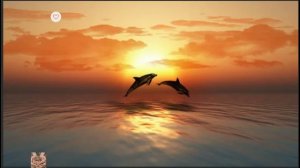 Мелодия любви закат венчала