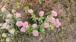 Один из дней города Евпатории | 14 сентября 2021 г | Крым ХАН БАТОН XAH 6ATOH | VID_20210914_144649