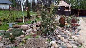 Покрасила опору для розы.И снова пересадки-можжевельник переехал за забор #любимаядача🌞