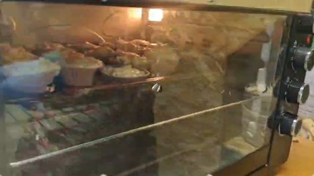 Подготовка к Пасхе. ГБССУ СО ГПВИ «Волгоградский ДСО»