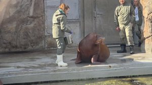 video_20260413_155232